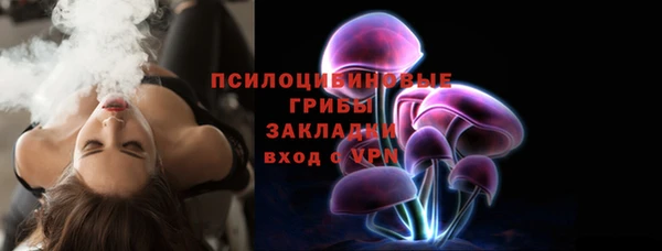 герыч Гусь-Хрустальный