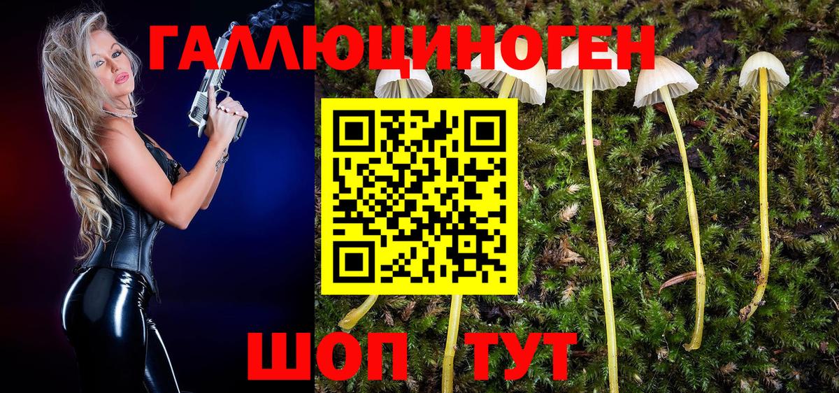 Галлюциногенные грибы мицелий Маркс