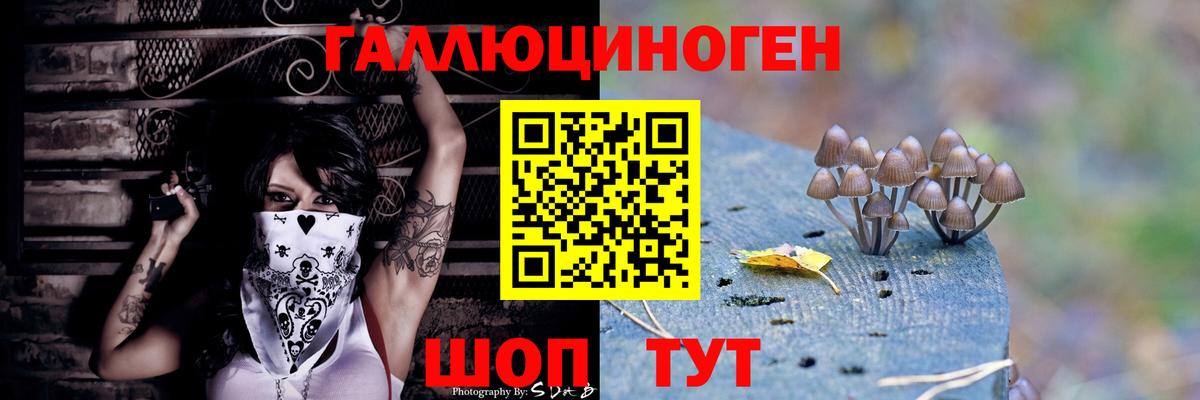 Галлюциногенные грибы Cubensis  Маркс 