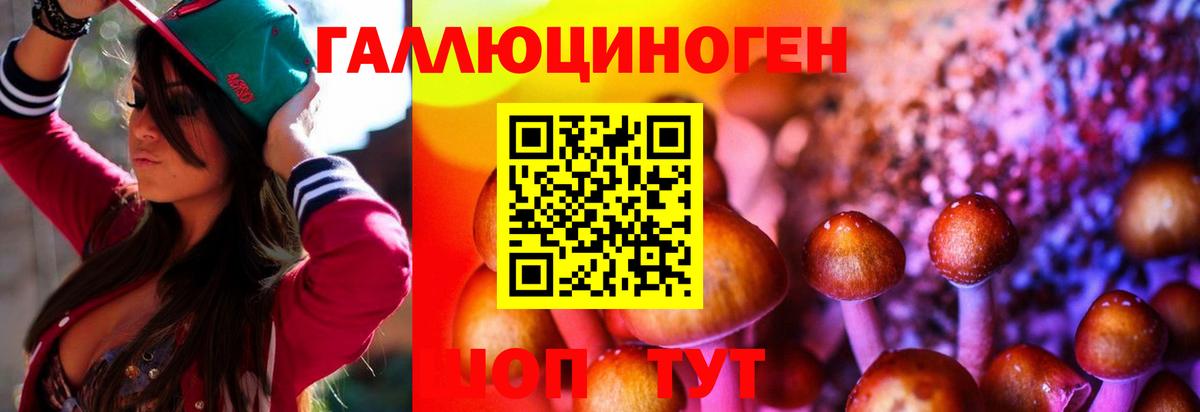 Маркс  Галлюциногенные грибы Cubensis  Вход с VPN 